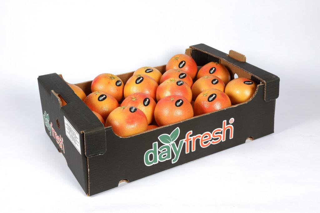 Dayfresh | Grapefruit